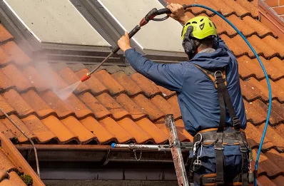 Démoussage et hydrofuge de toiture à Princé